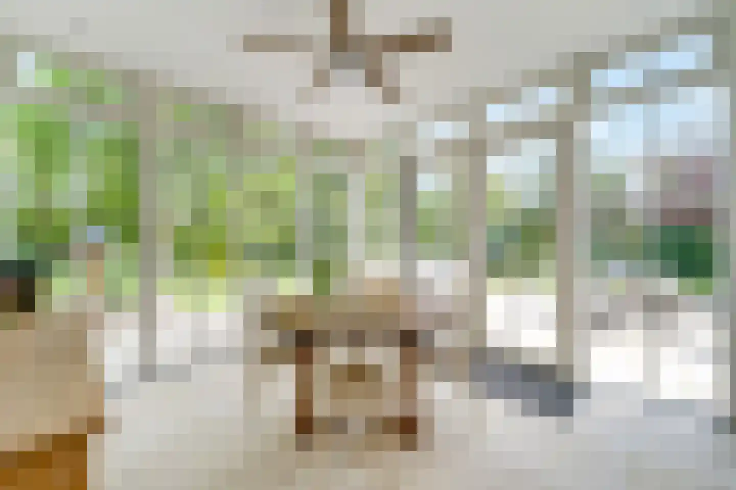Bergweg 2 Ommen thumbnail 22
