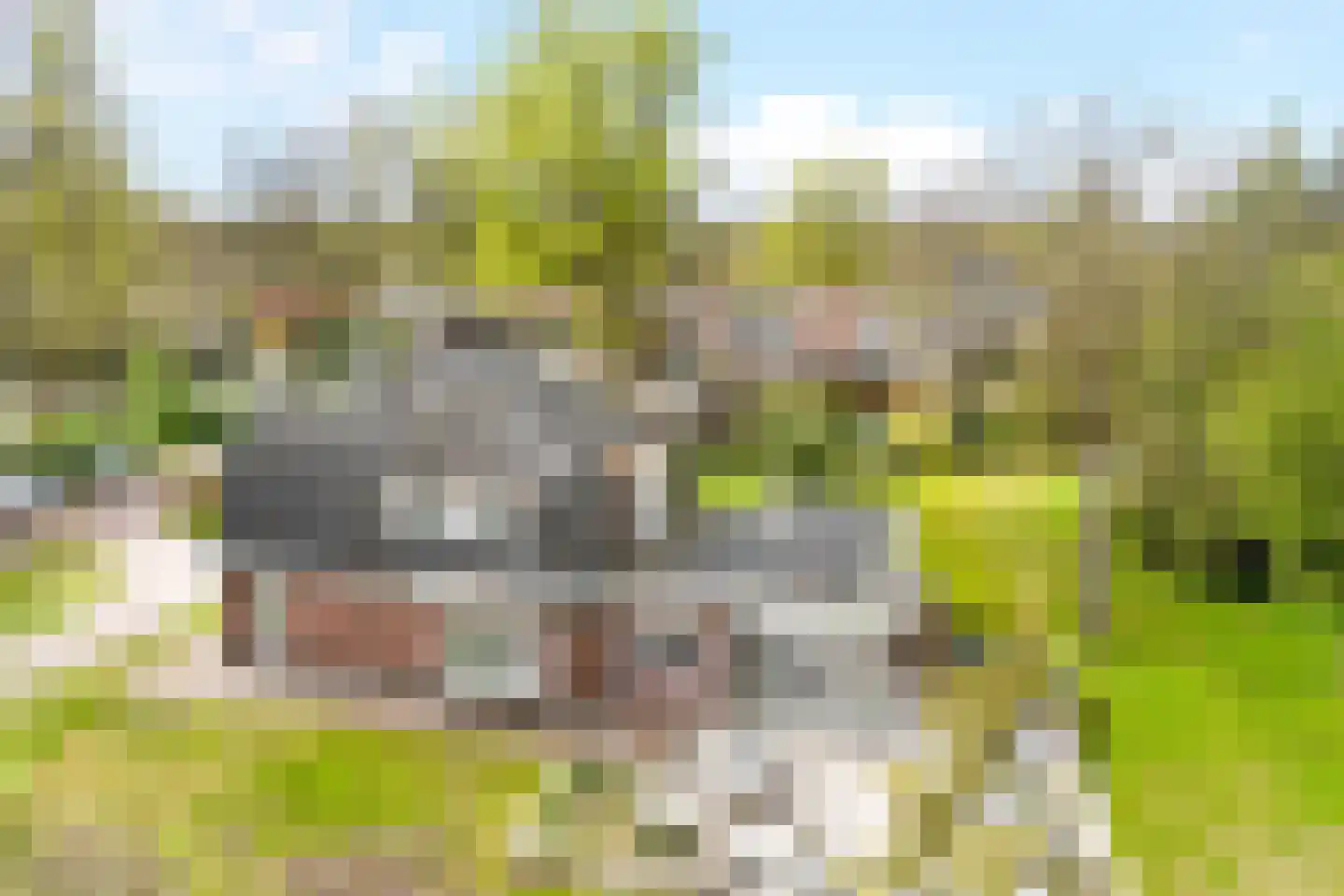 Bergweg 2 Ommen thumbnail 46