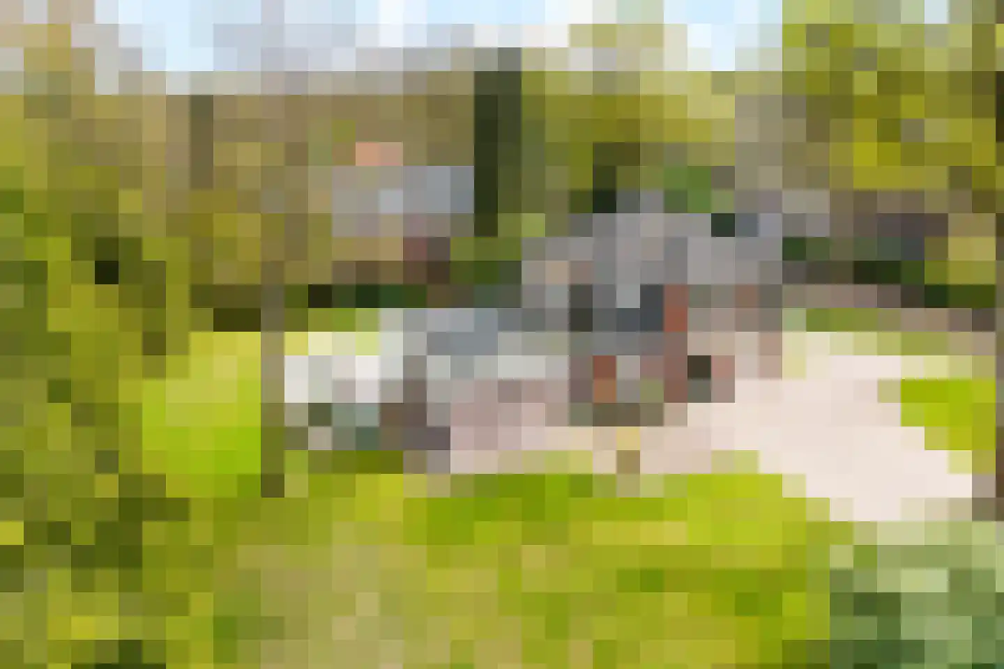Bergweg 2 Ommen thumbnail 47