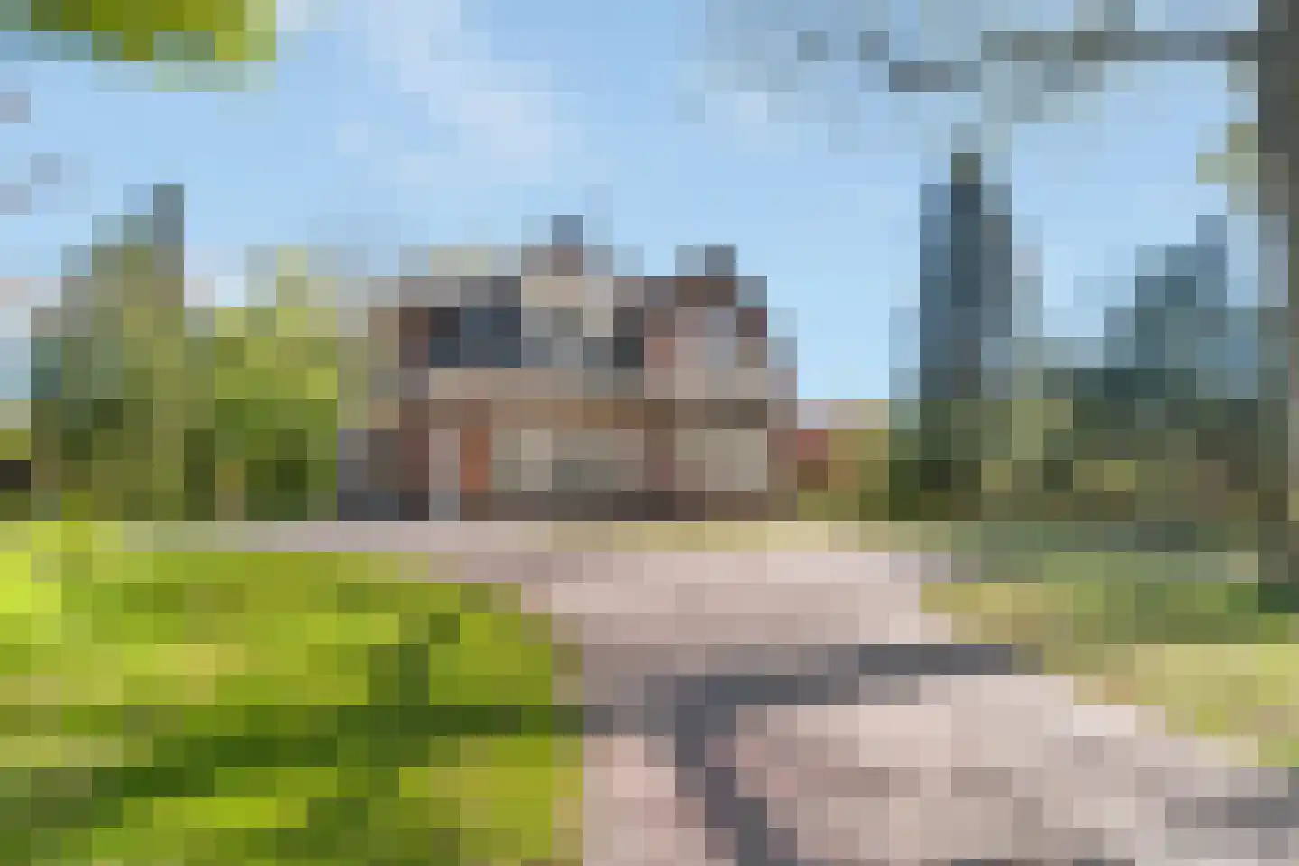 Bergweg 2 Ommen thumbnail 7