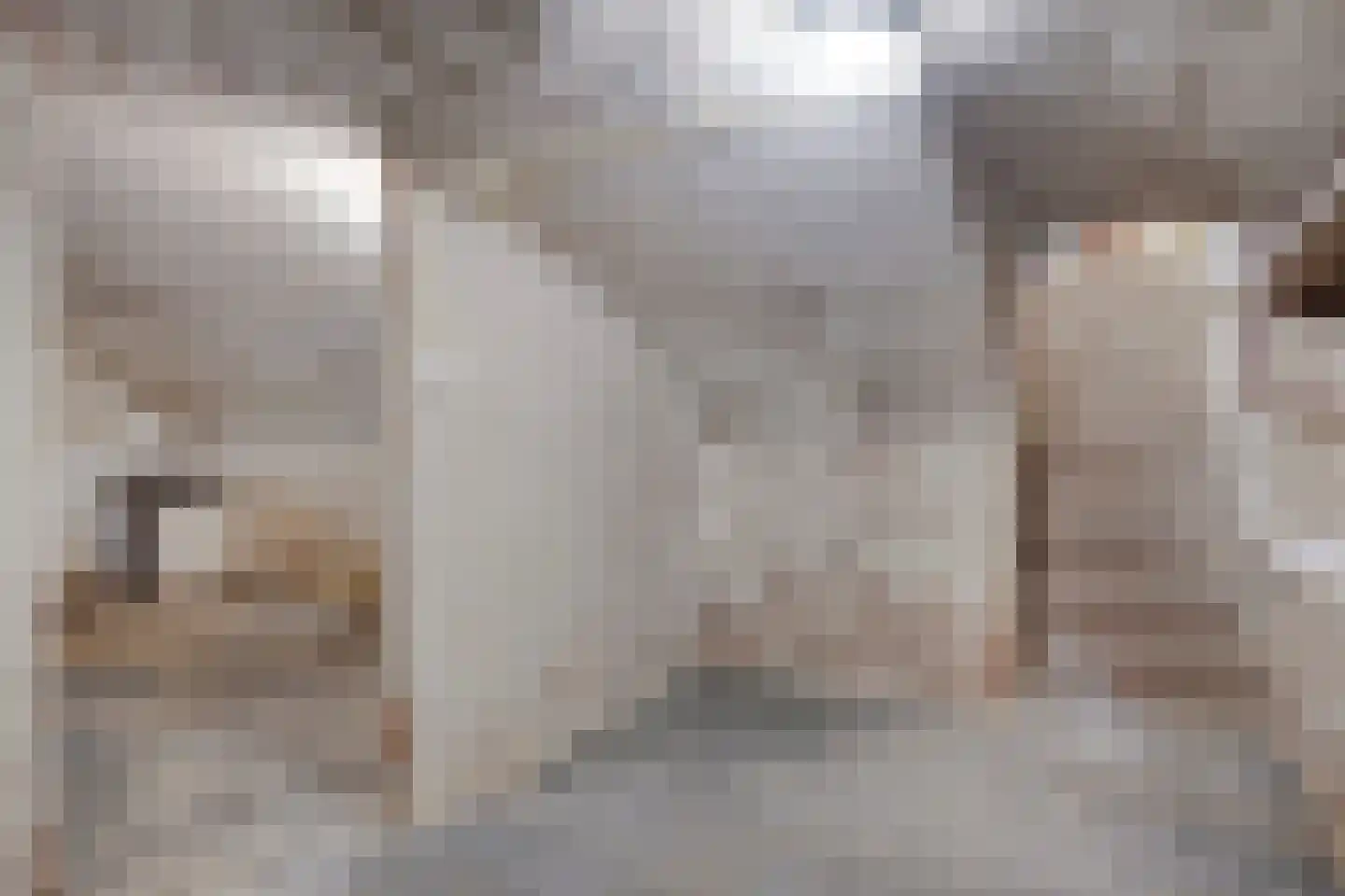 Bergweg 2 Velp thumbnail 25