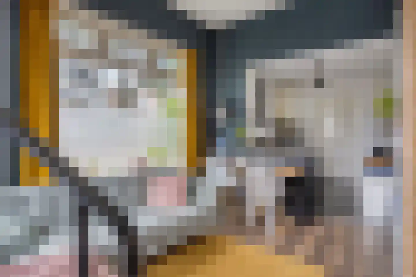 Bergweg 2 Velp thumbnail 47