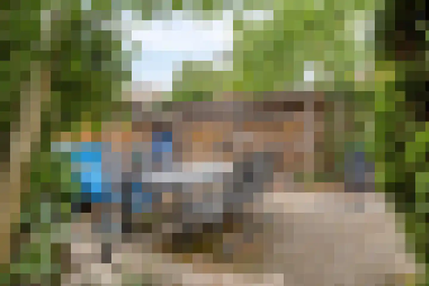 Bergweg 2 Velp thumbnail 59