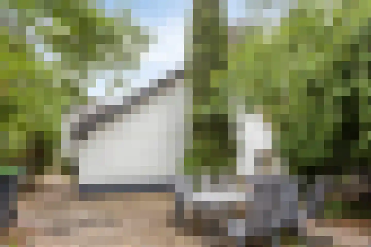 Bergweg 2 Velp thumbnail 60