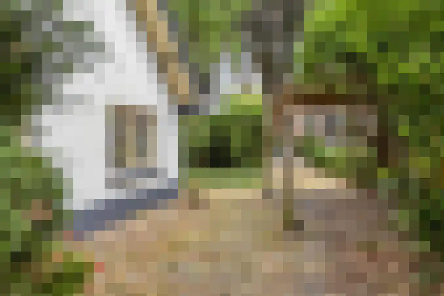 Bergweg 2 Velp thumbnail 61