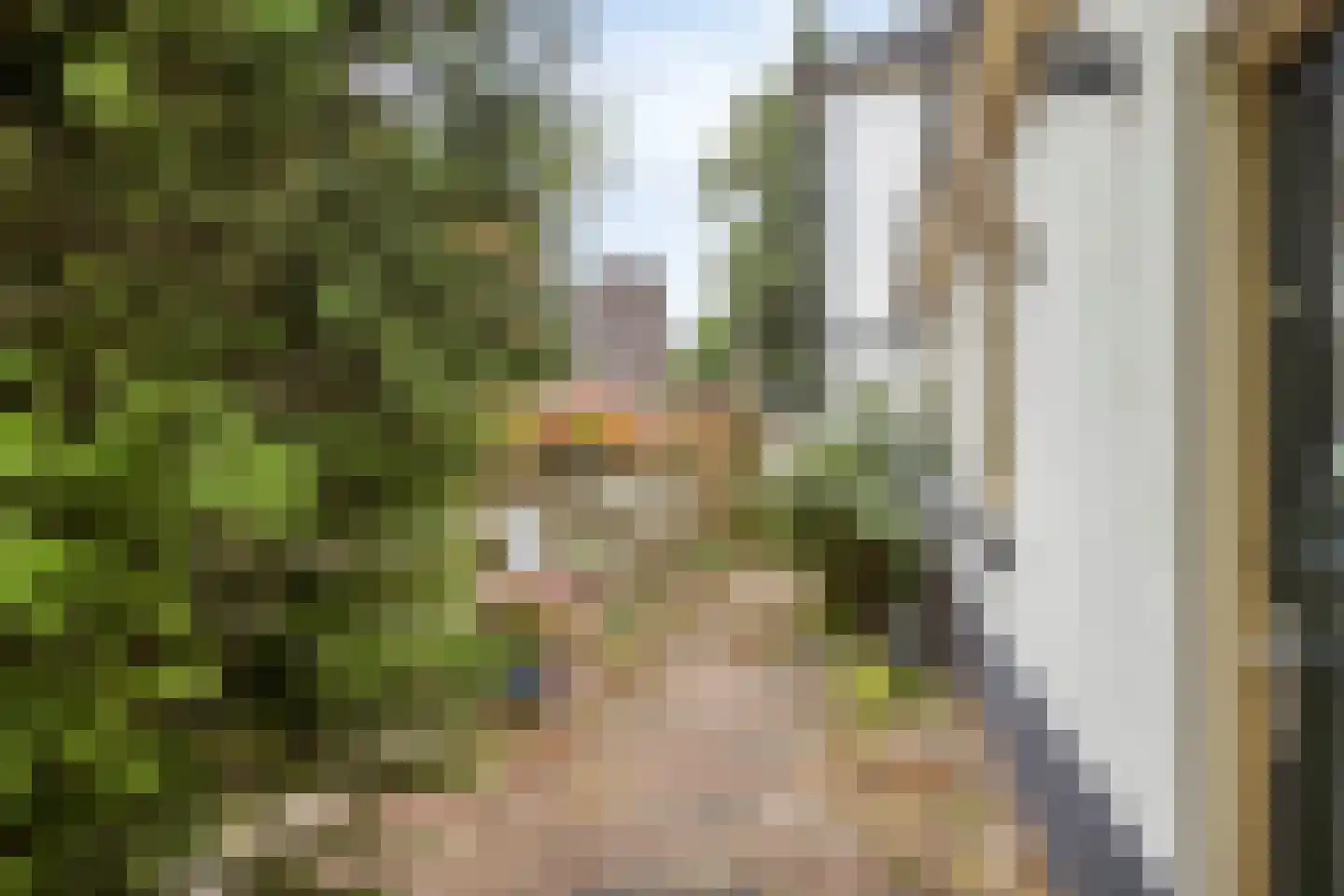 Bergweg 2 Velp thumbnail 65