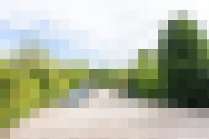 Bergweg 20 Overberg thumbnail 36