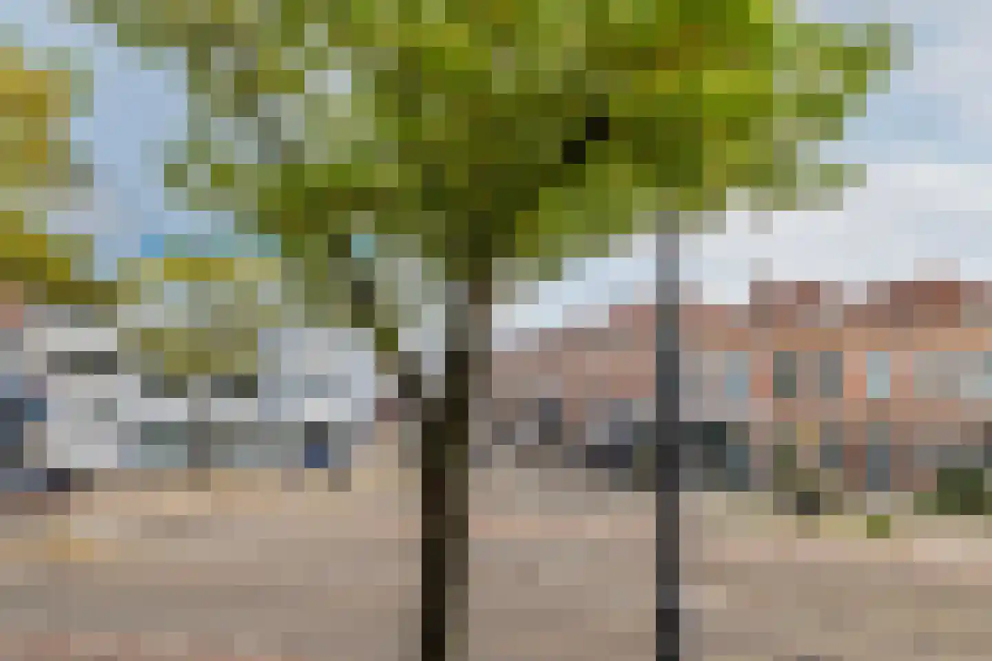 Bergweg 205 A 02 Rotterdam thumbnail 8