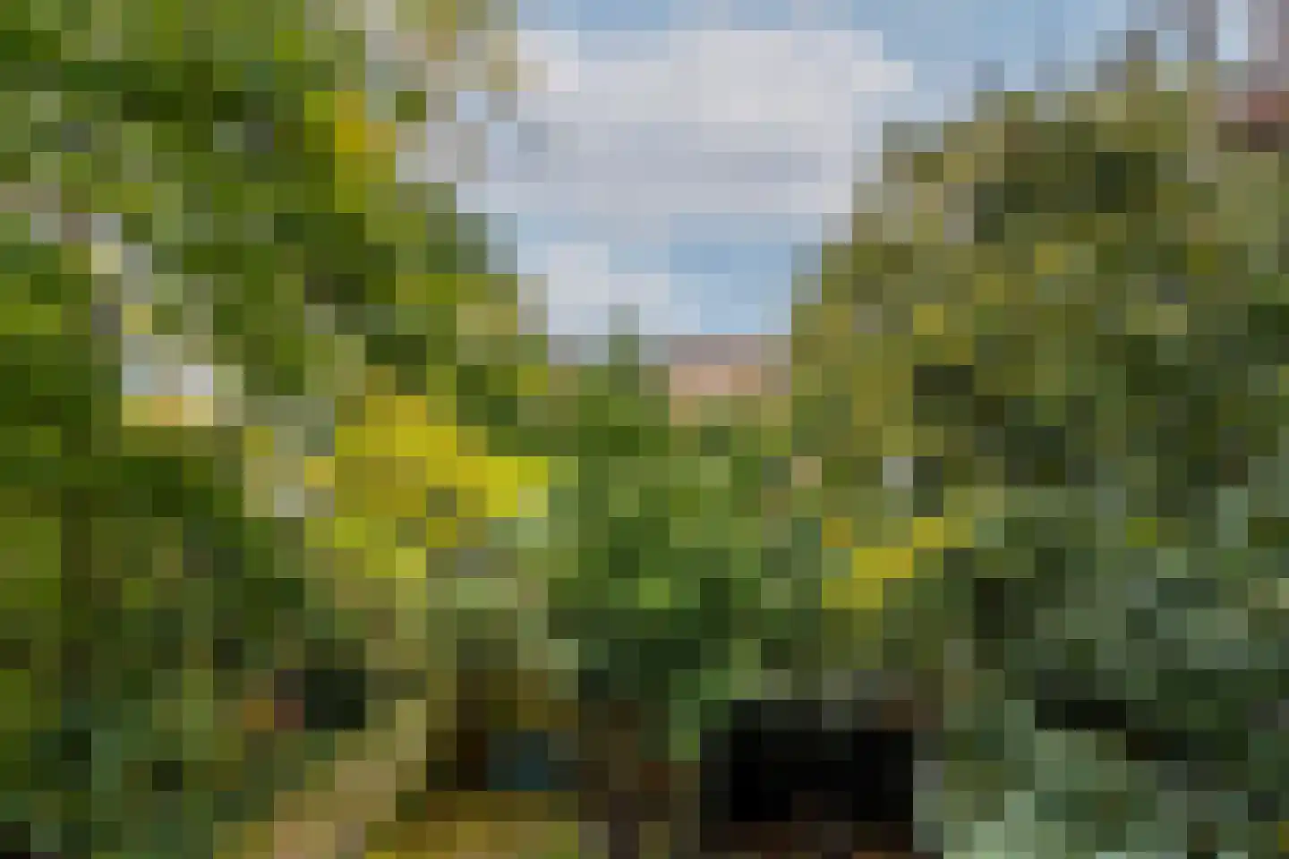 Bergweg 205 B Rotterdam thumbnail 12