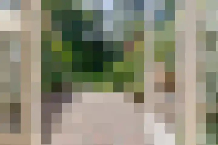 Bergweg 210 Zeist thumbnail 14