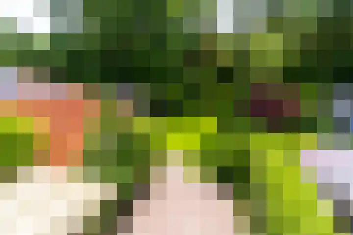 Bergweg 210 Zeist thumbnail 15