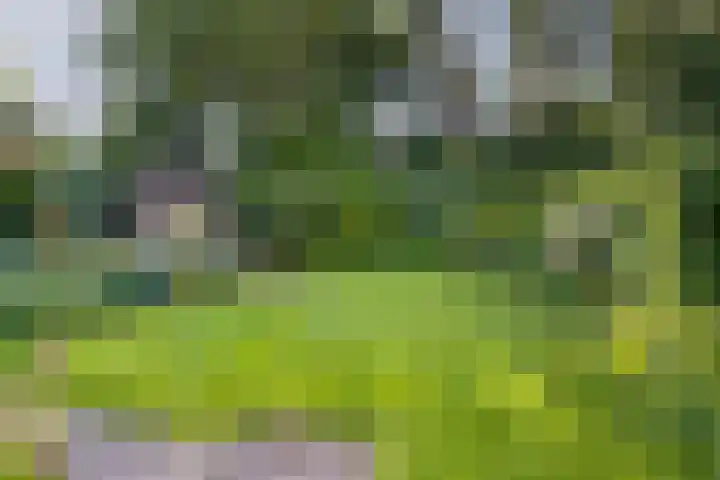 Bergweg 210 Zeist thumbnail 16