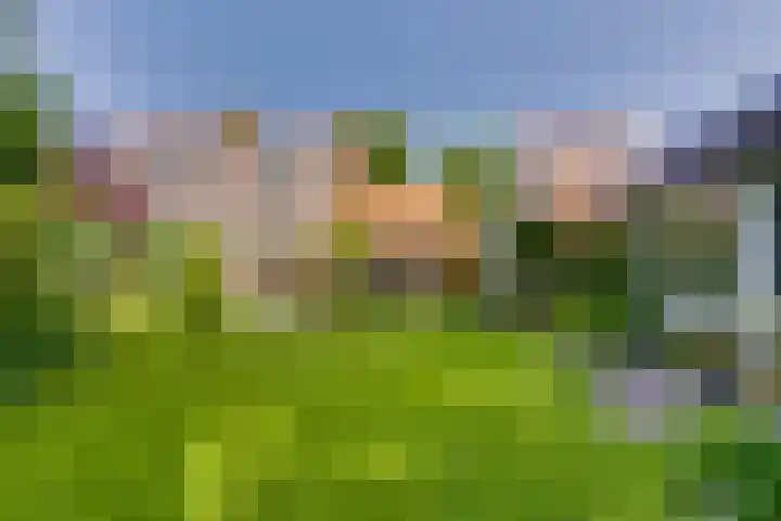 Bergweg 210 Zeist thumbnail 18