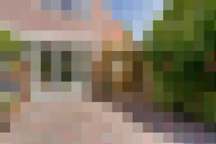 Bergweg 210 Zeist thumbnail 19