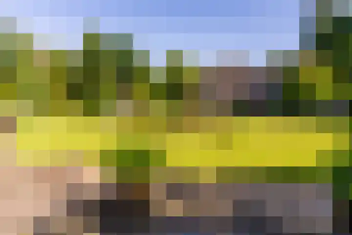 Bergweg 210 Zeist thumbnail 31