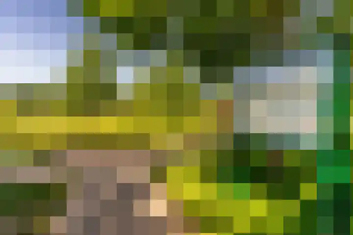 Bergweg 210 Zeist thumbnail 32