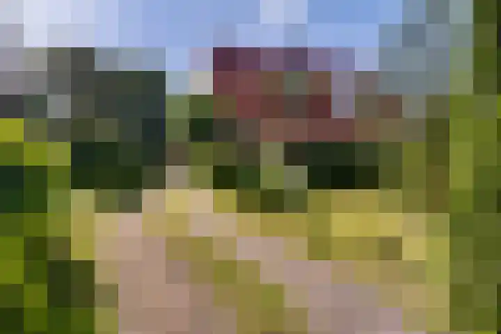 Bergweg 210 Zeist thumbnail 4
