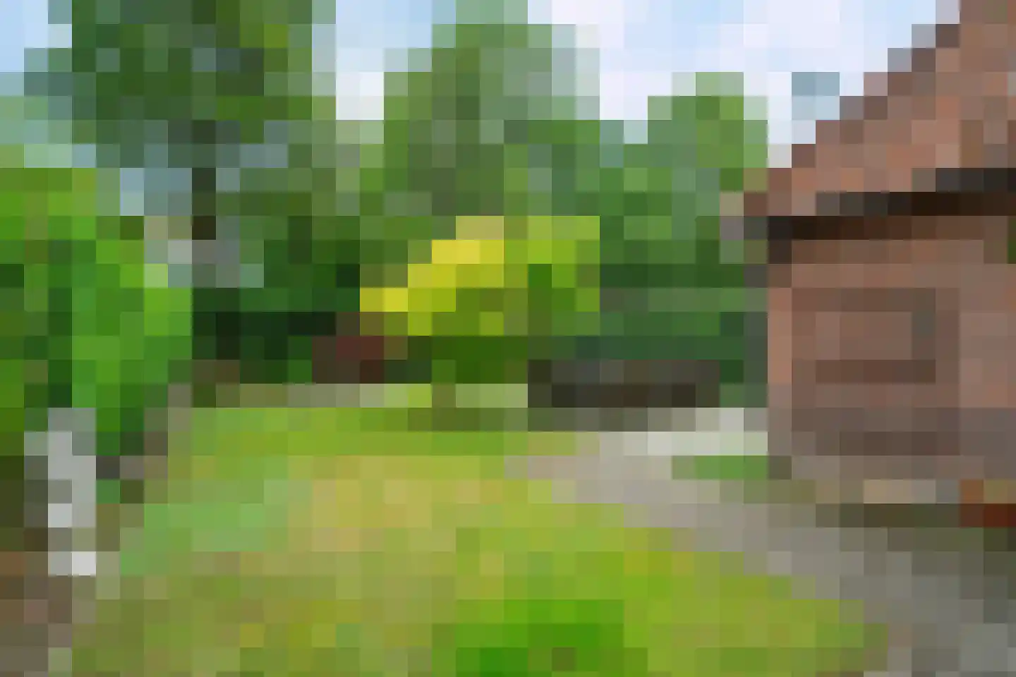 Bergweg 216 Zeist thumbnail 25