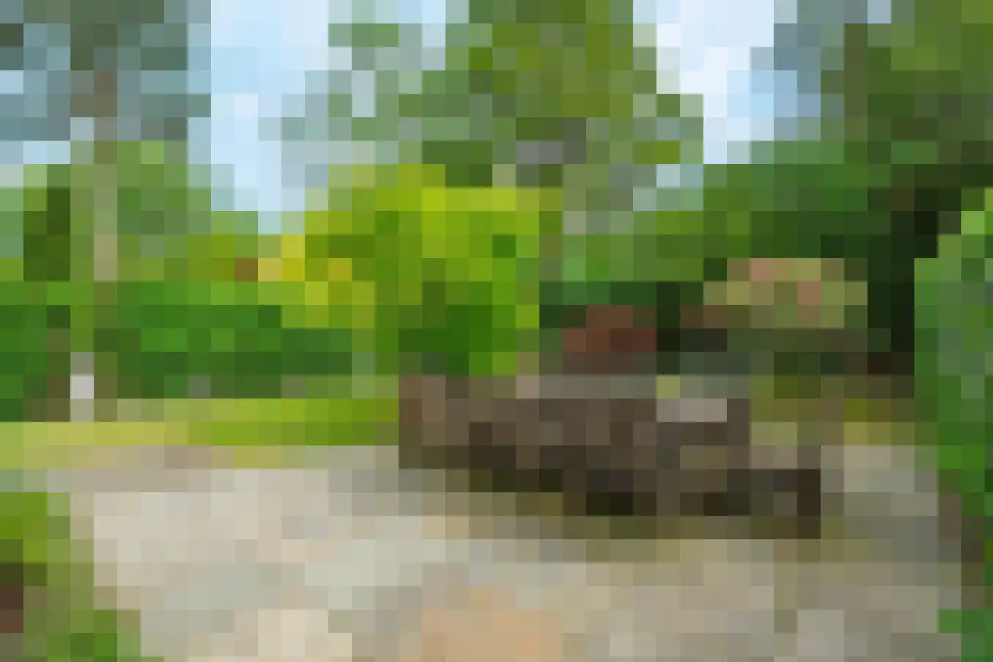Bergweg 216 Zeist thumbnail 26