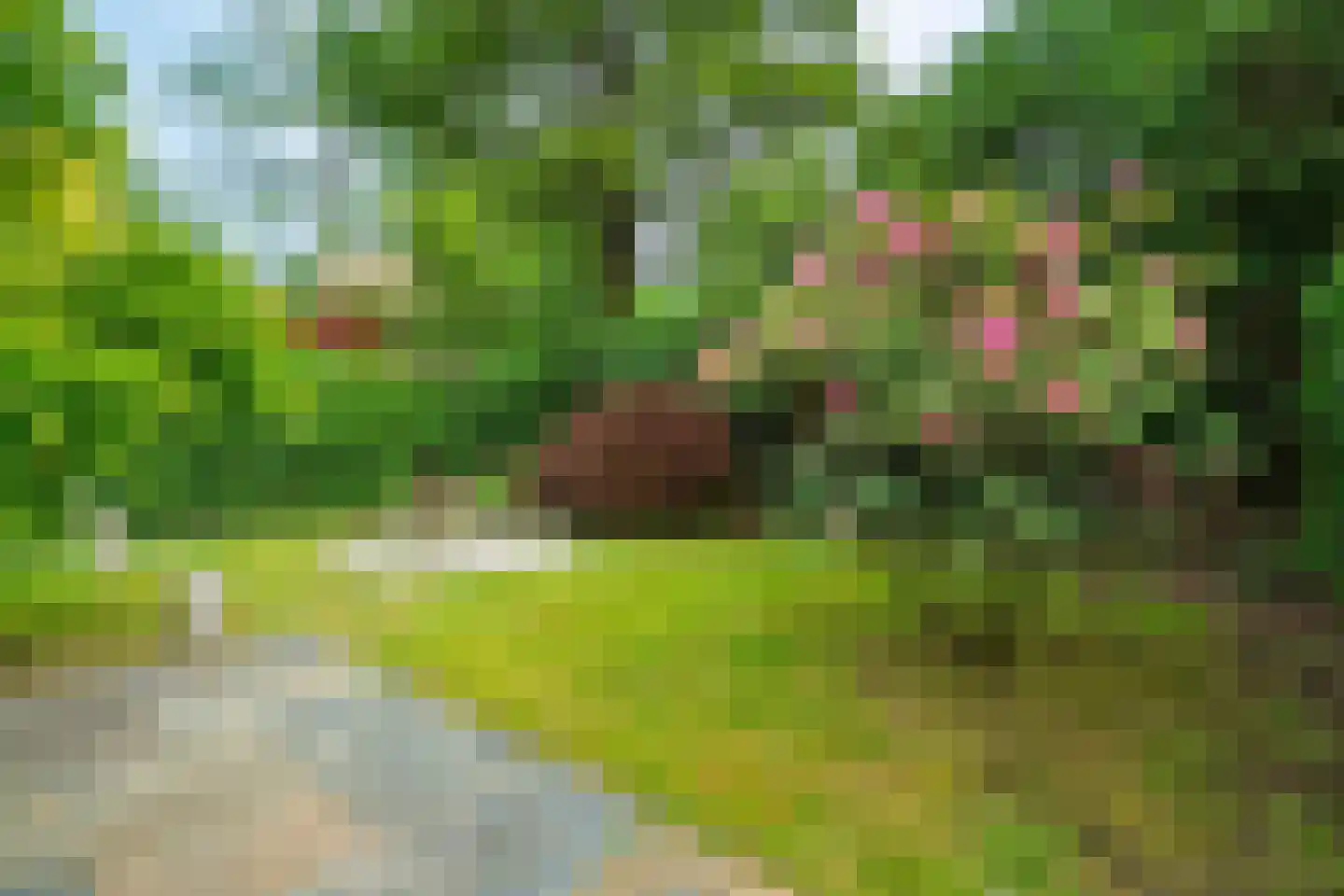 Bergweg 216 Zeist thumbnail 27