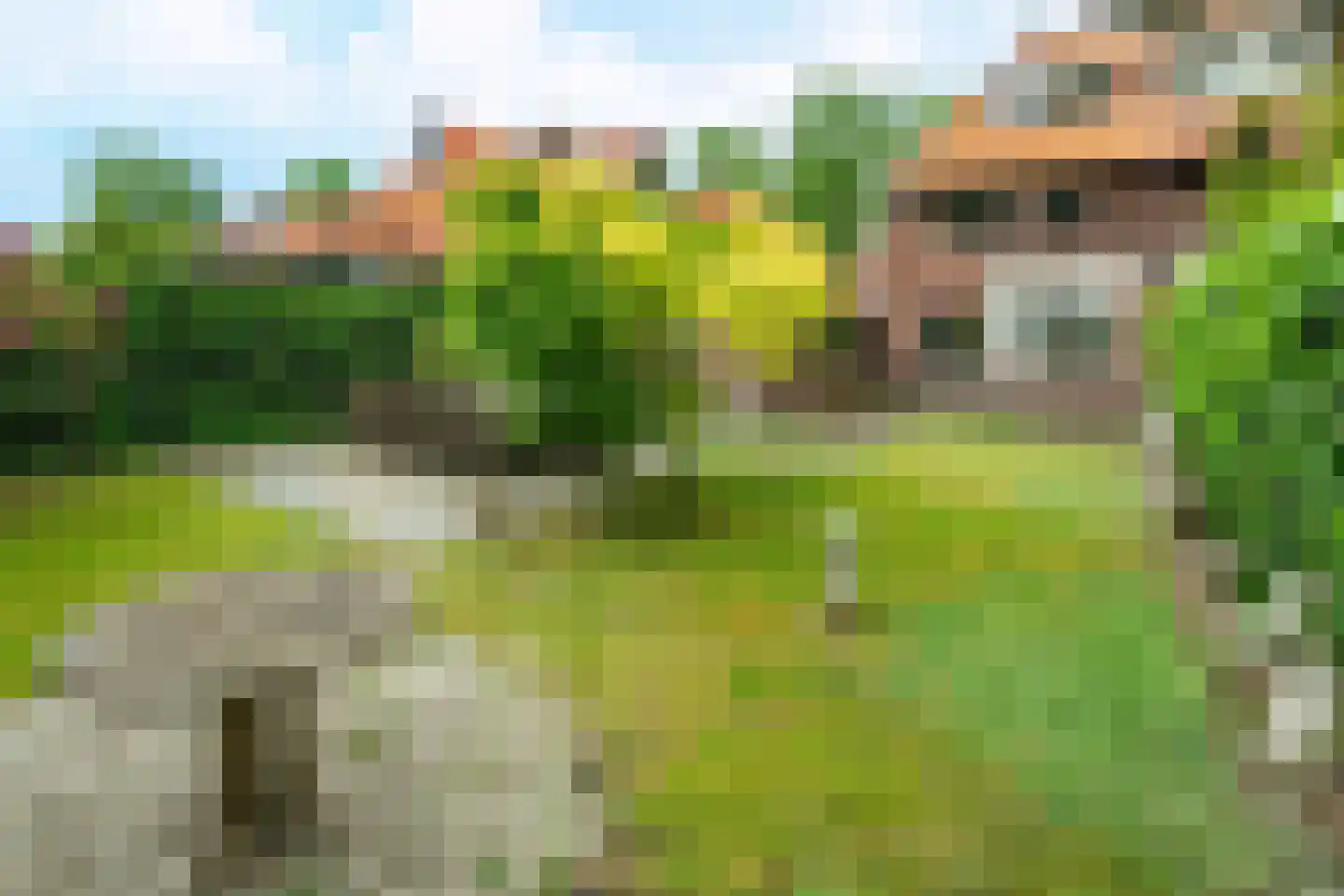 Bergweg 216 Zeist thumbnail 28
