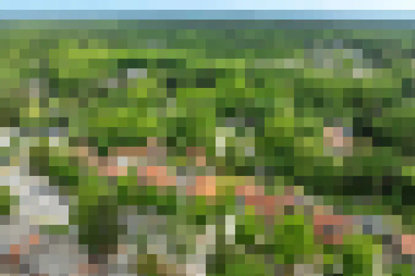 Bergweg 216 Zeist thumbnail 31