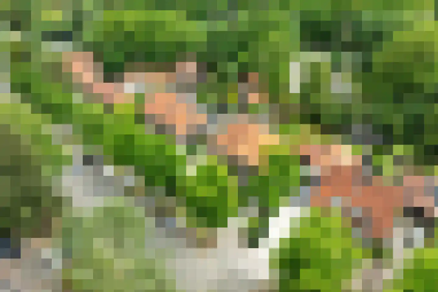 Bergweg 216 Zeist thumbnail 32