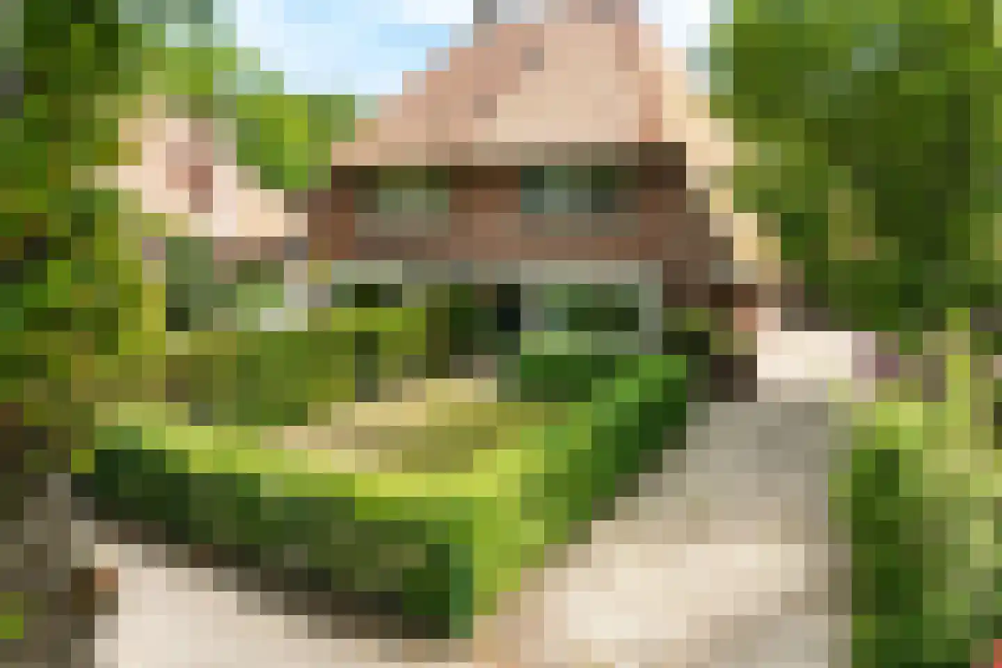 Bergweg 216 Zeist thumbnail 33