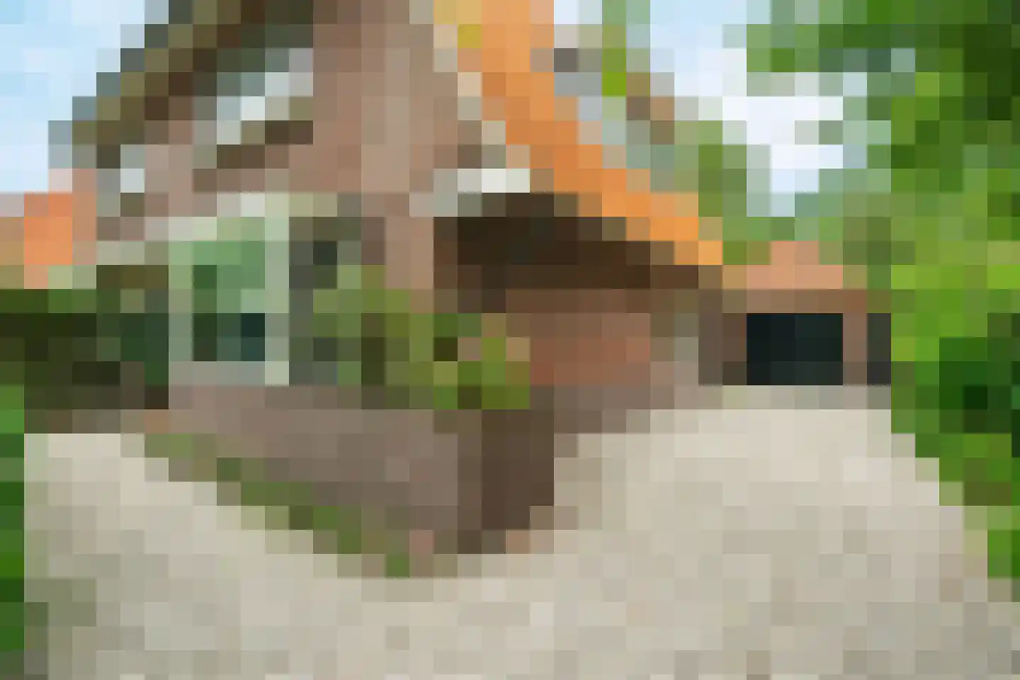 Bergweg 216 Zeist thumbnail 5