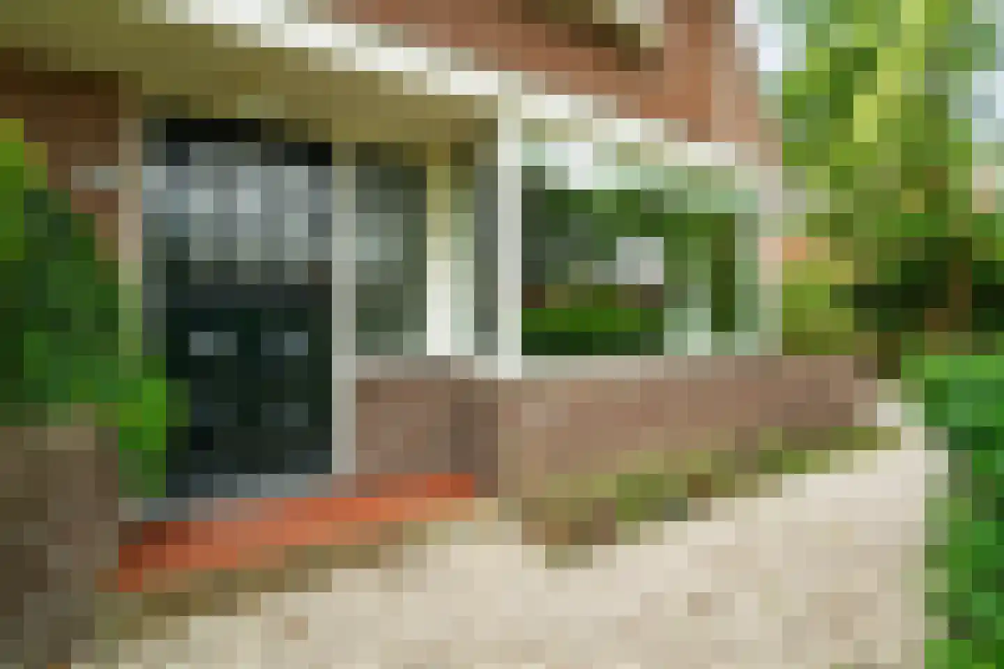 Bergweg 216 Zeist thumbnail 6