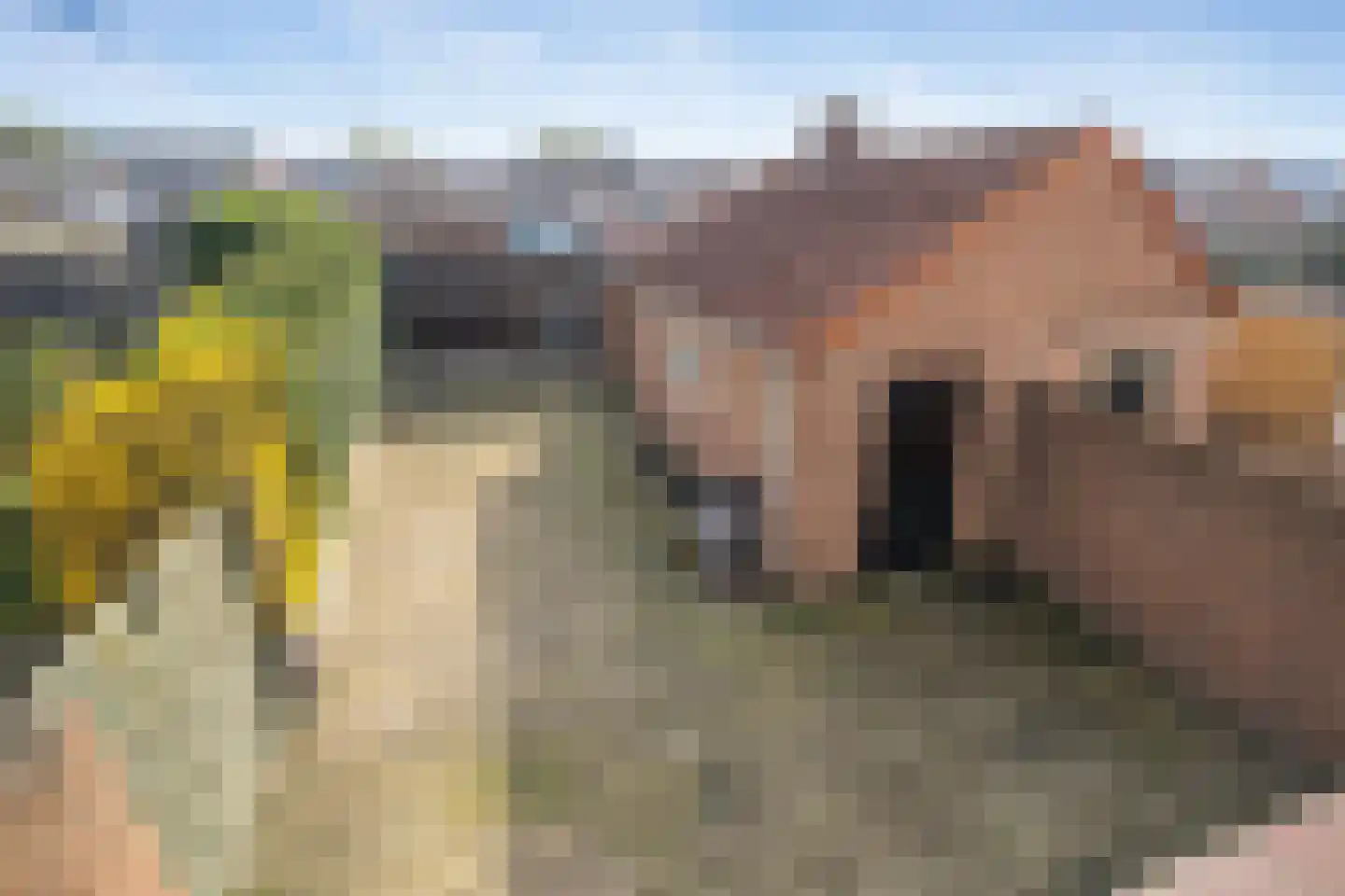 Bergweg 23 Sint Odiliënberg thumbnail 15