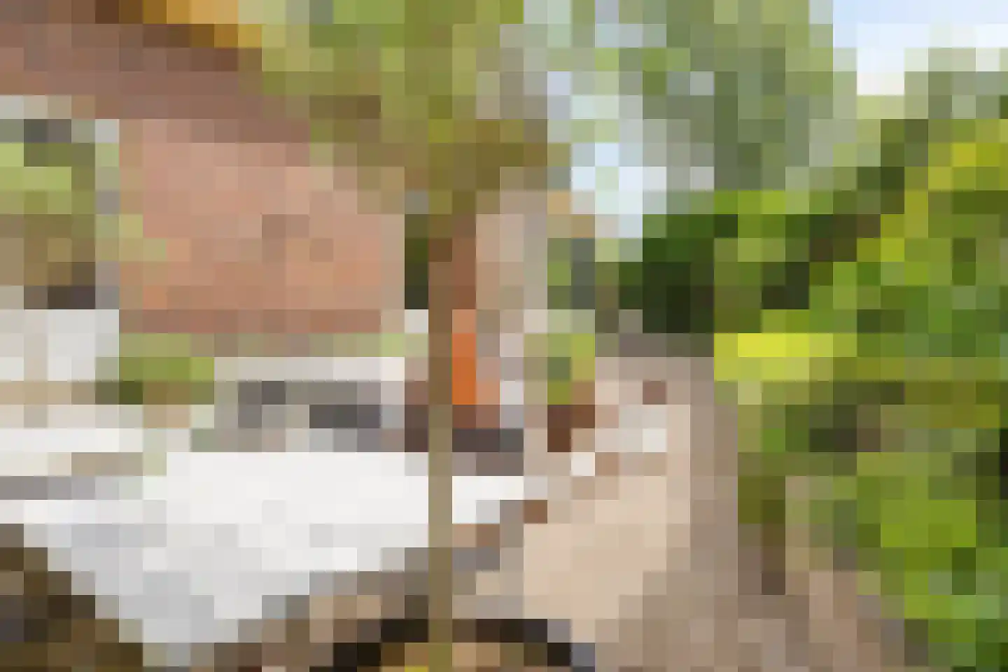 Bergweg 24 A Zeist thumbnail 53