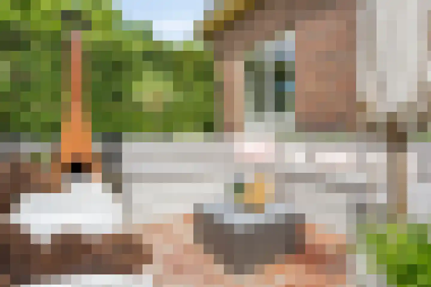 Bergweg 24 A Zeist thumbnail 54