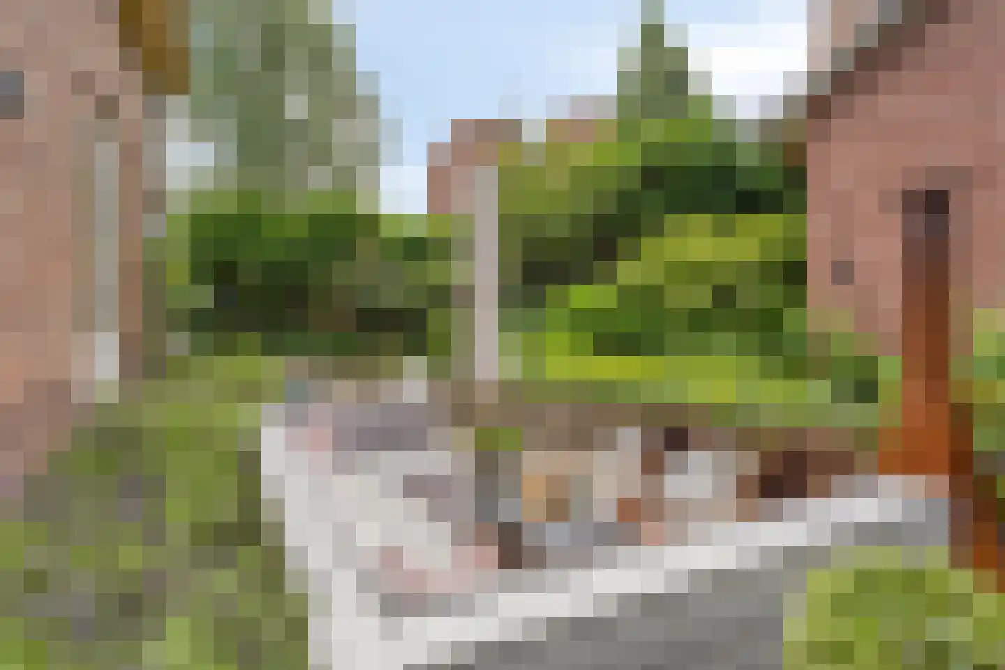 Bergweg 24 A Zeist thumbnail 56