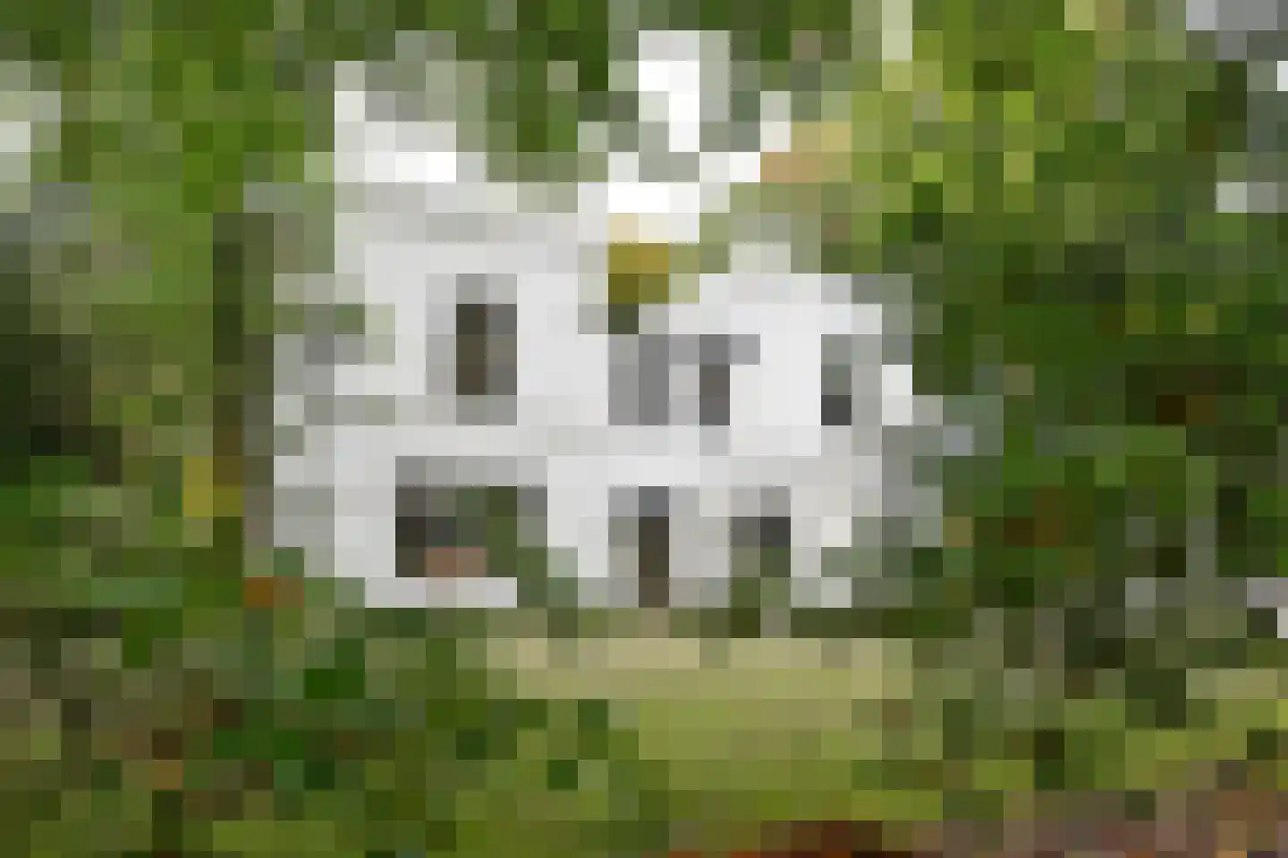 Bergweg 24 Hilversum thumbnail 4