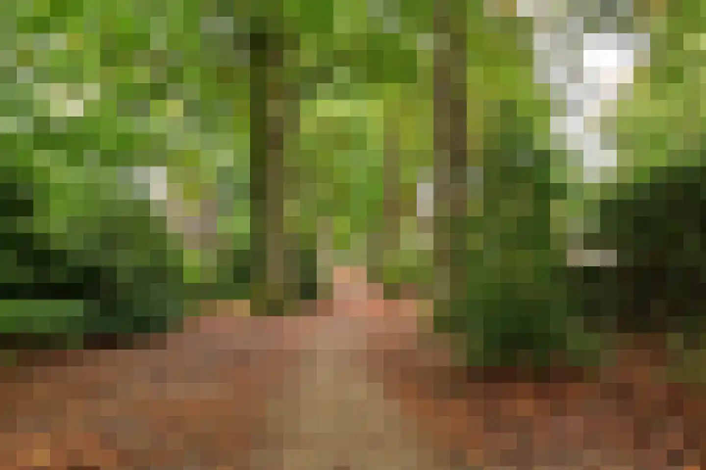 Bergweg 24 Hilversum thumbnail 42