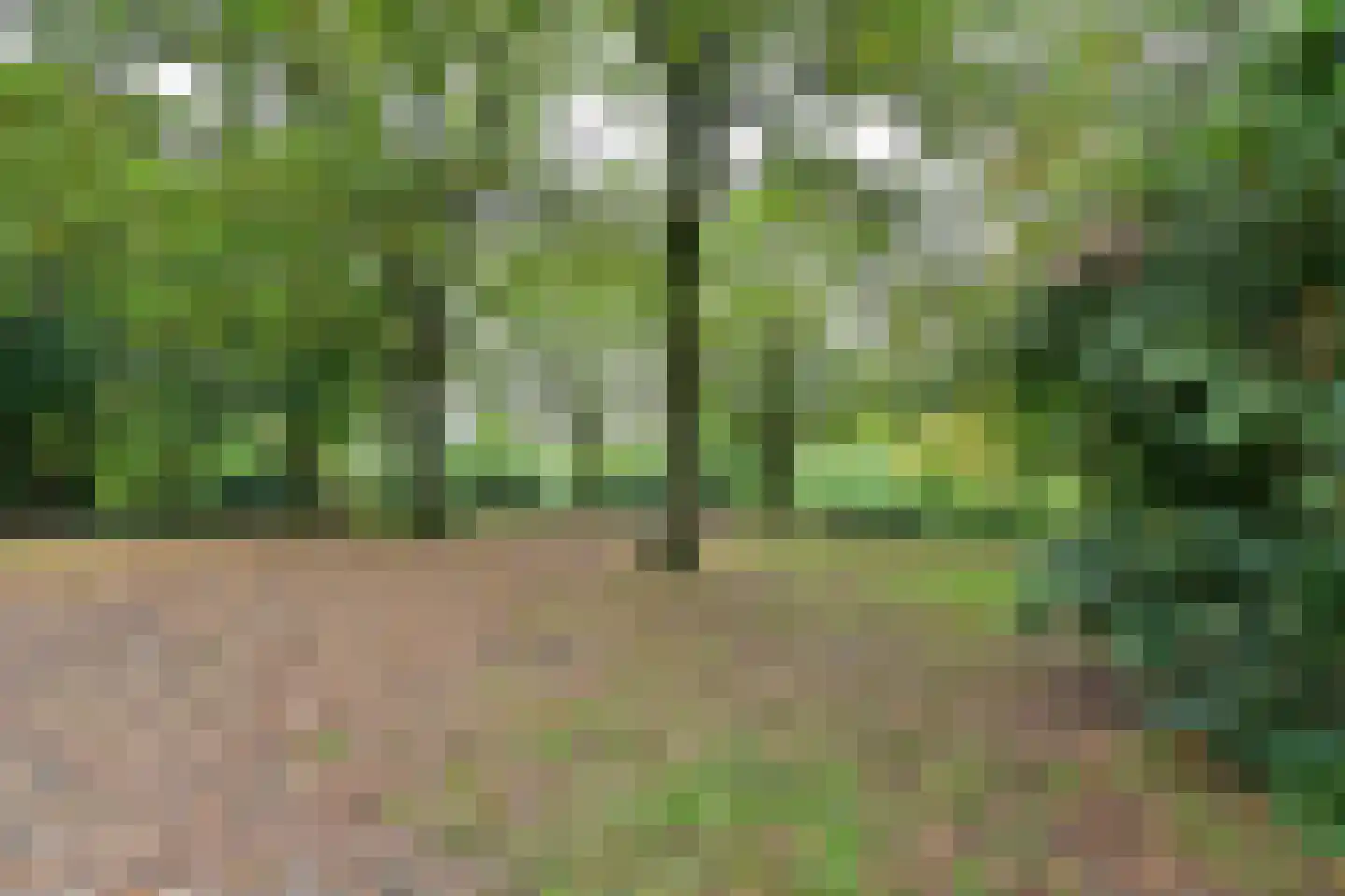 Bergweg 24 Hilversum thumbnail 43