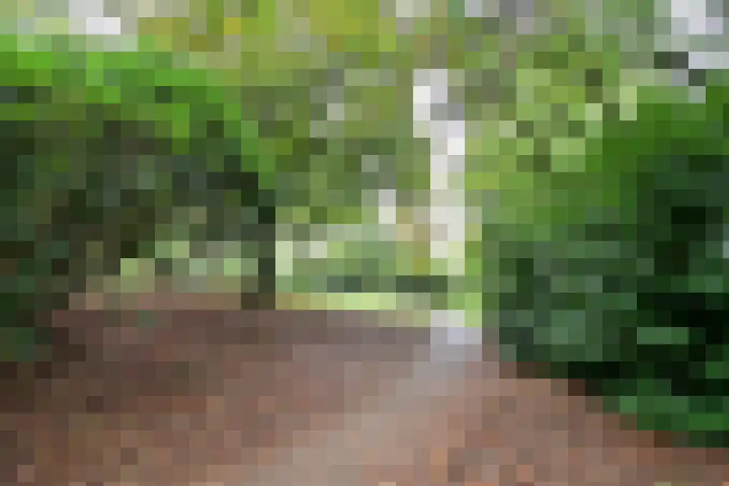 Bergweg 24 Hilversum thumbnail 44