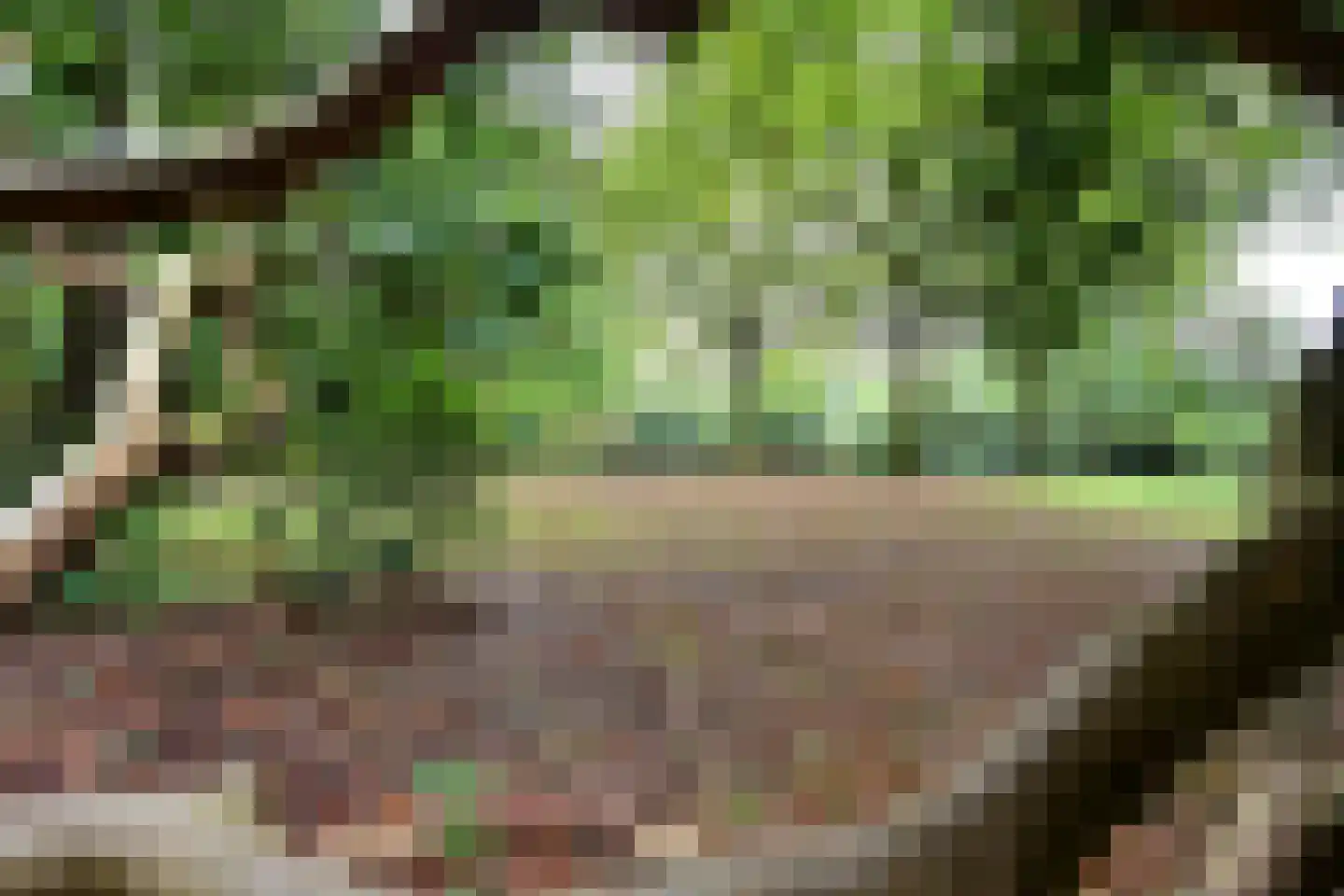 Bergweg 24 Hilversum thumbnail 45