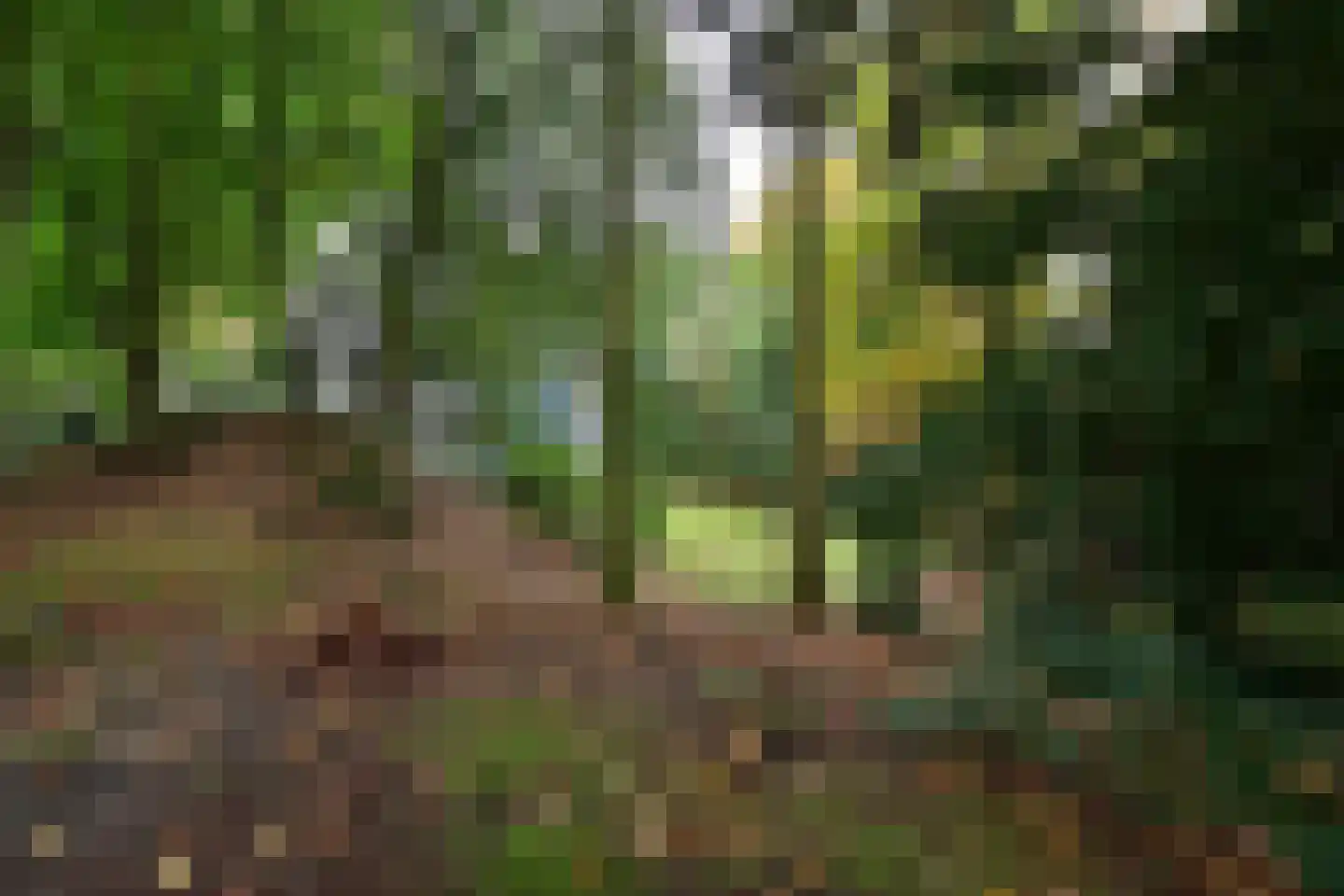 Bergweg 24 Hilversum thumbnail 6