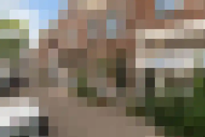 Bergweg 250 A Rotterdam thumbnail 4