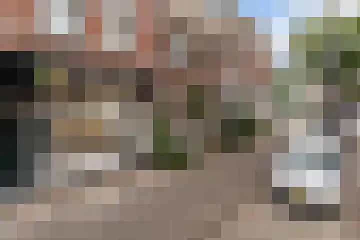 Bergweg 250 A Rotterdam thumbnail 42