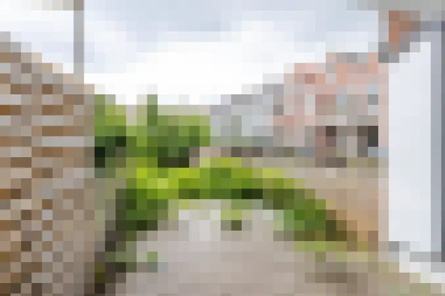 Bergweg 262 B Rotterdam thumbnail 26