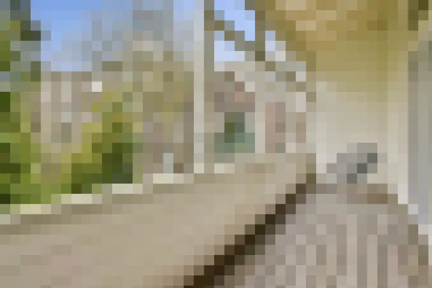 Bergweg 269 B Rotterdam thumbnail 18