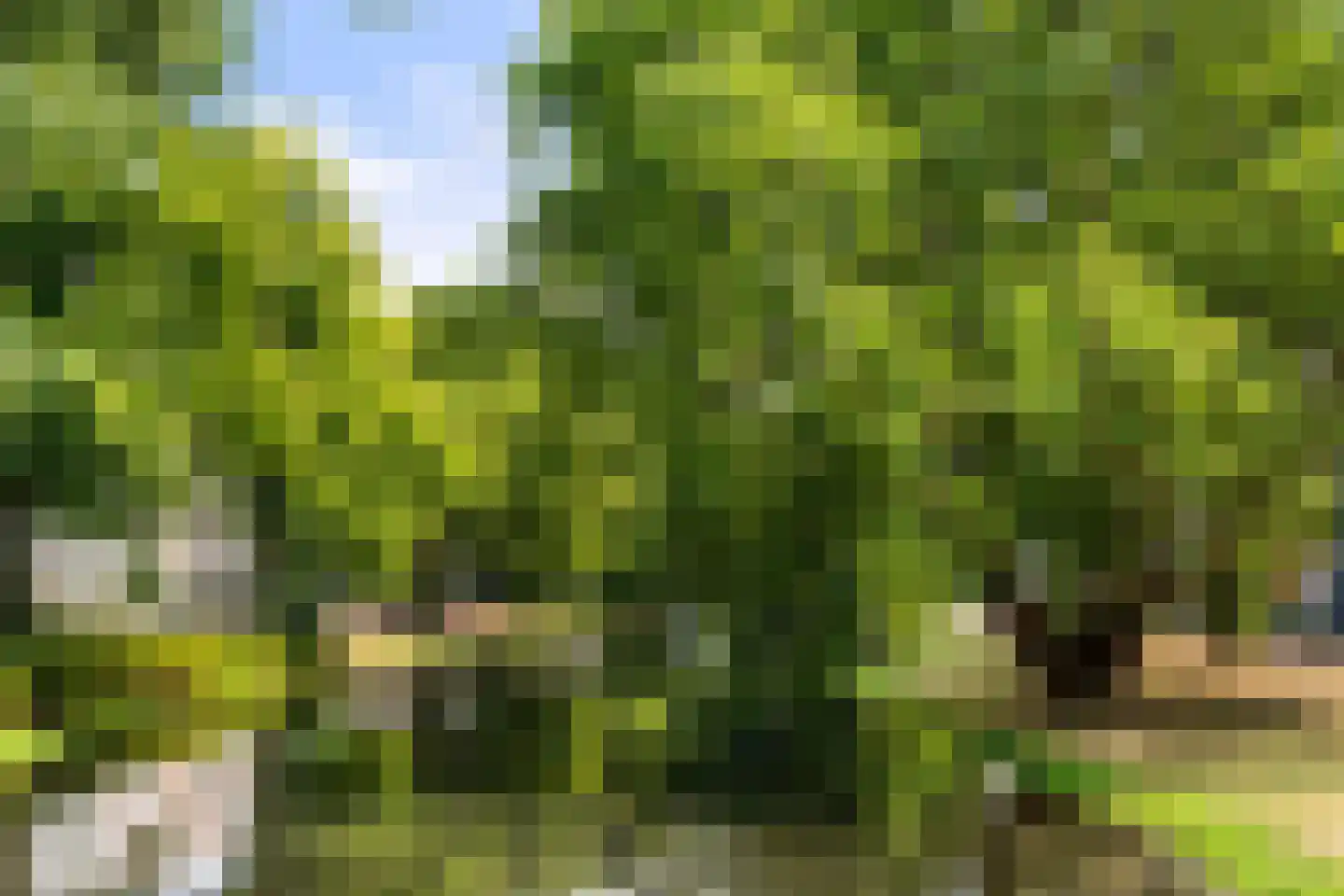 Bergweg 282 D Rotterdam thumbnail 31
