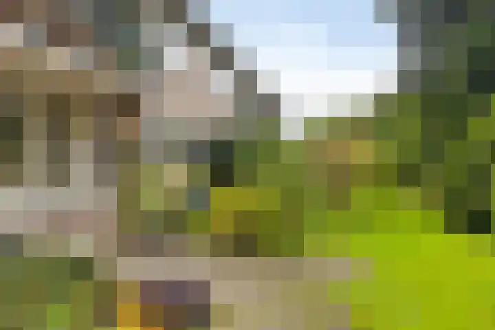 Bergweg 29 E Hilversum thumbnail 21