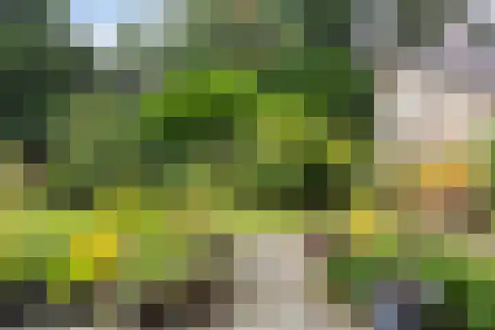 Bergweg 29 E Hilversum thumbnail 23