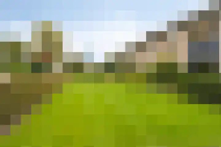 Bergweg 29 E Hilversum thumbnail 26