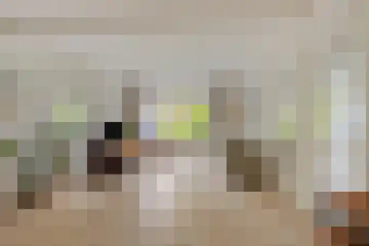 Bergweg 29 E Hilversum thumbnail 6