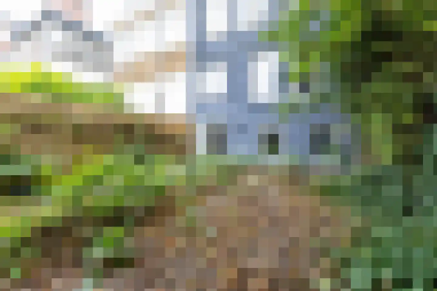 Bergweg 295 A Rotterdam thumbnail 22